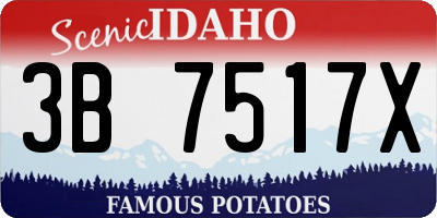 ID license plate 3B7517X