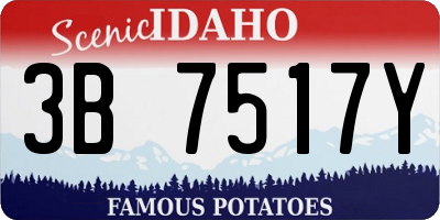 ID license plate 3B7517Y