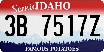 ID license plate 3B7517Z
