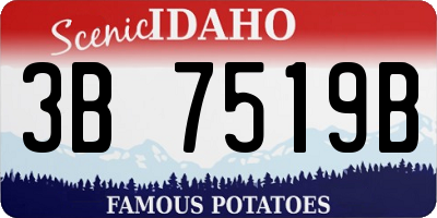 ID license plate 3B7519B