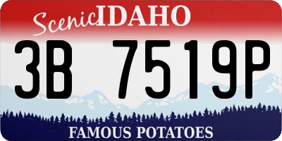 ID license plate 3B7519P
