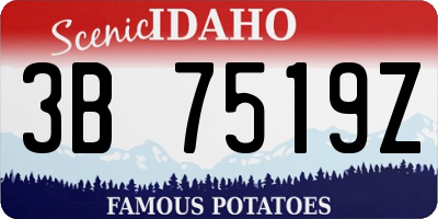 ID license plate 3B7519Z