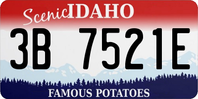 ID license plate 3B7521E