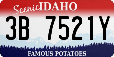 ID license plate 3B7521Y