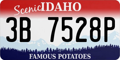 ID license plate 3B7528P