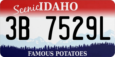 ID license plate 3B7529L