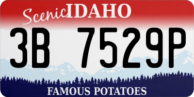 ID license plate 3B7529P