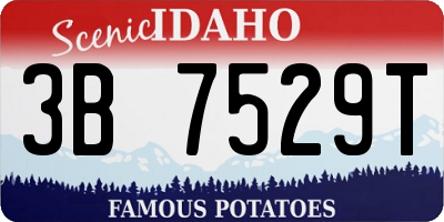 ID license plate 3B7529T