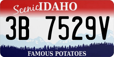 ID license plate 3B7529V