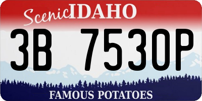 ID license plate 3B7530P