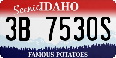 ID license plate 3B7530S