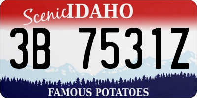 ID license plate 3B7531Z