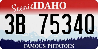 ID license plate 3B7534Q