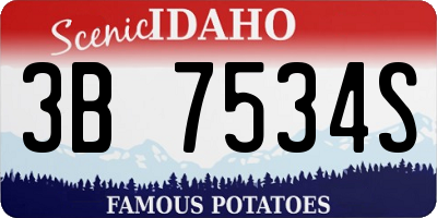 ID license plate 3B7534S