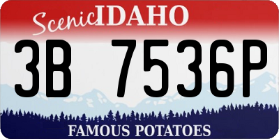 ID license plate 3B7536P