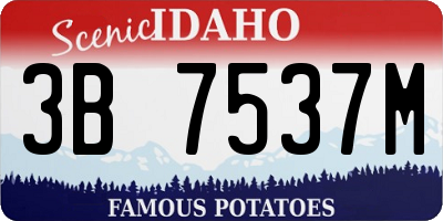 ID license plate 3B7537M