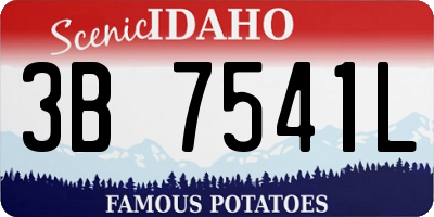 ID license plate 3B7541L