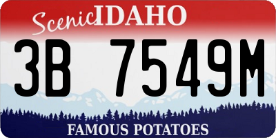ID license plate 3B7549M