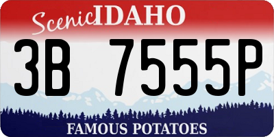 ID license plate 3B7555P