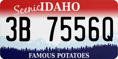 ID license plate 3B7556Q