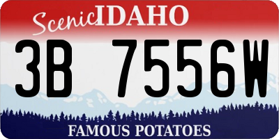 ID license plate 3B7556W