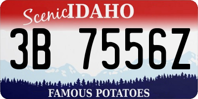 ID license plate 3B7556Z