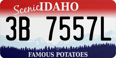 ID license plate 3B7557L