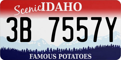 ID license plate 3B7557Y
