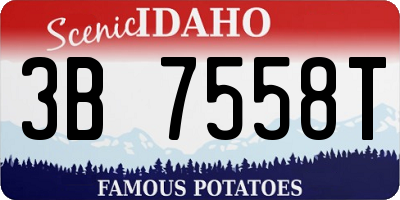 ID license plate 3B7558T