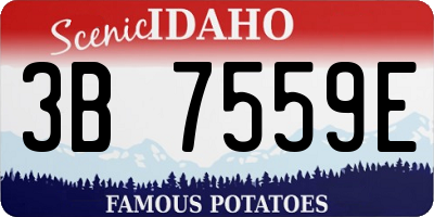 ID license plate 3B7559E