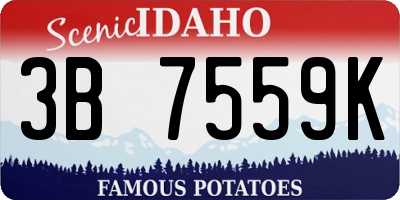 ID license plate 3B7559K