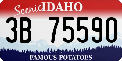 ID license plate 3B7559O