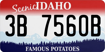 ID license plate 3B7560B