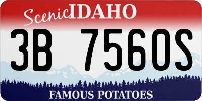 ID license plate 3B7560S