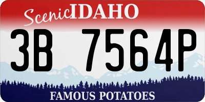 ID license plate 3B7564P