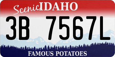 ID license plate 3B7567L