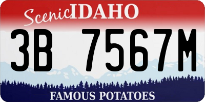 ID license plate 3B7567M