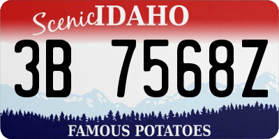 ID license plate 3B7568Z