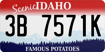 ID license plate 3B7571K