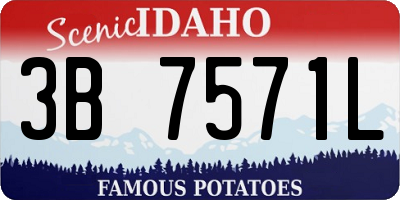 ID license plate 3B7571L