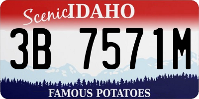ID license plate 3B7571M