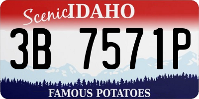 ID license plate 3B7571P
