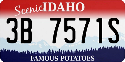 ID license plate 3B7571S