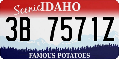 ID license plate 3B7571Z