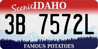 ID license plate 3B7572L