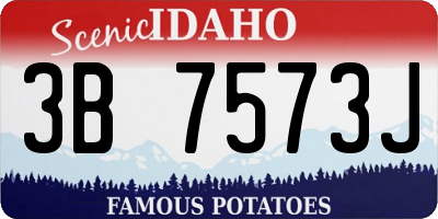 ID license plate 3B7573J