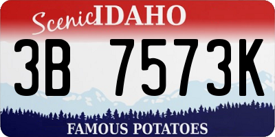 ID license plate 3B7573K