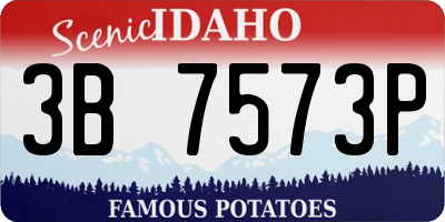 ID license plate 3B7573P