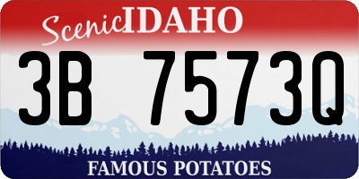 ID license plate 3B7573Q