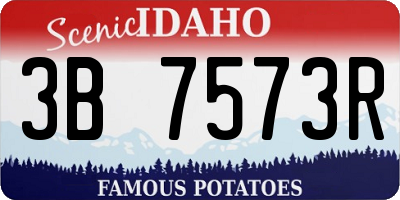 ID license plate 3B7573R